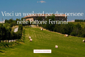 Weekend Ferrarini