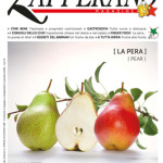 Zafferano Magazine